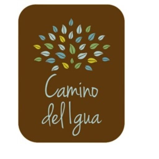 caminodeliguaph.com